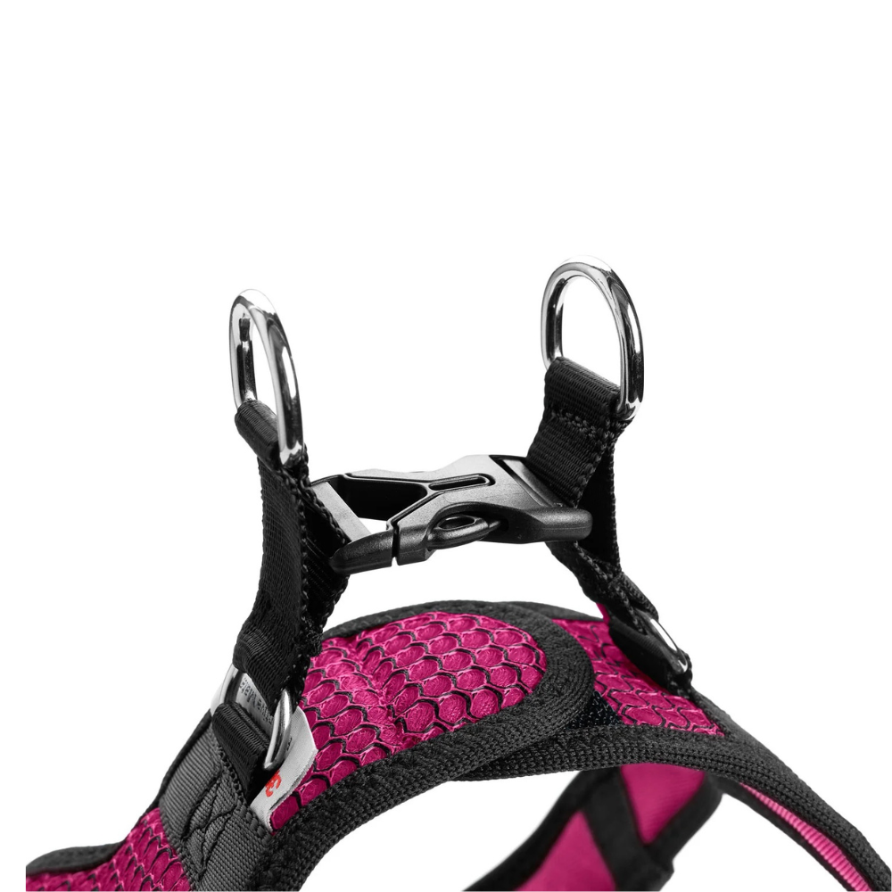 harnais-hilo-confort-fuchsia--3 harnais-hilo-confort-fuchsia
