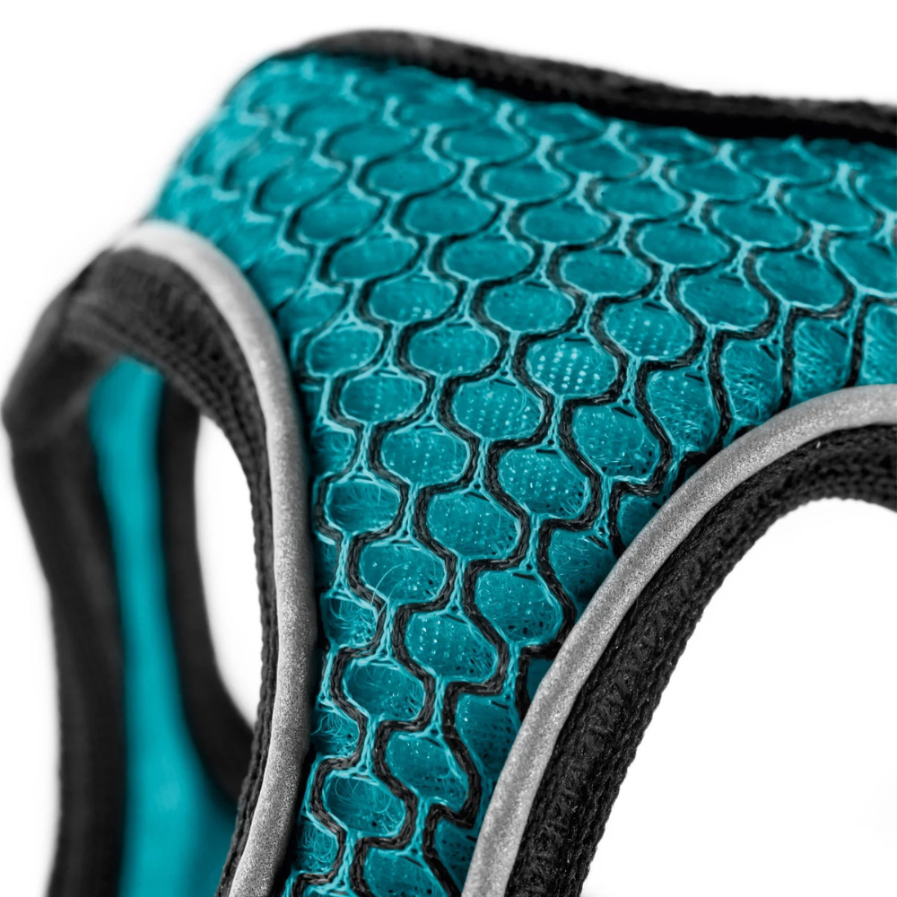 harnais-hilo-confort-turquoise-2 harnais-hilo-confort-turquoise
