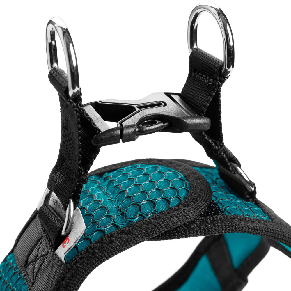 harnais-hilo-confort-turquoise-3 harnais-hilo-confort-turquoise