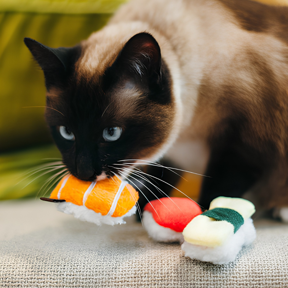 sushis-feline-frenzy-pour-chat-4 sushis-feline-frenzy-pour-chat
