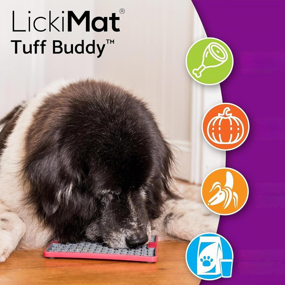 tapis-de-lechage-violet-tuff-buddy-de-lickimat-3 tapis-de-lechage-violet-tuff-buddy-de-lickimat