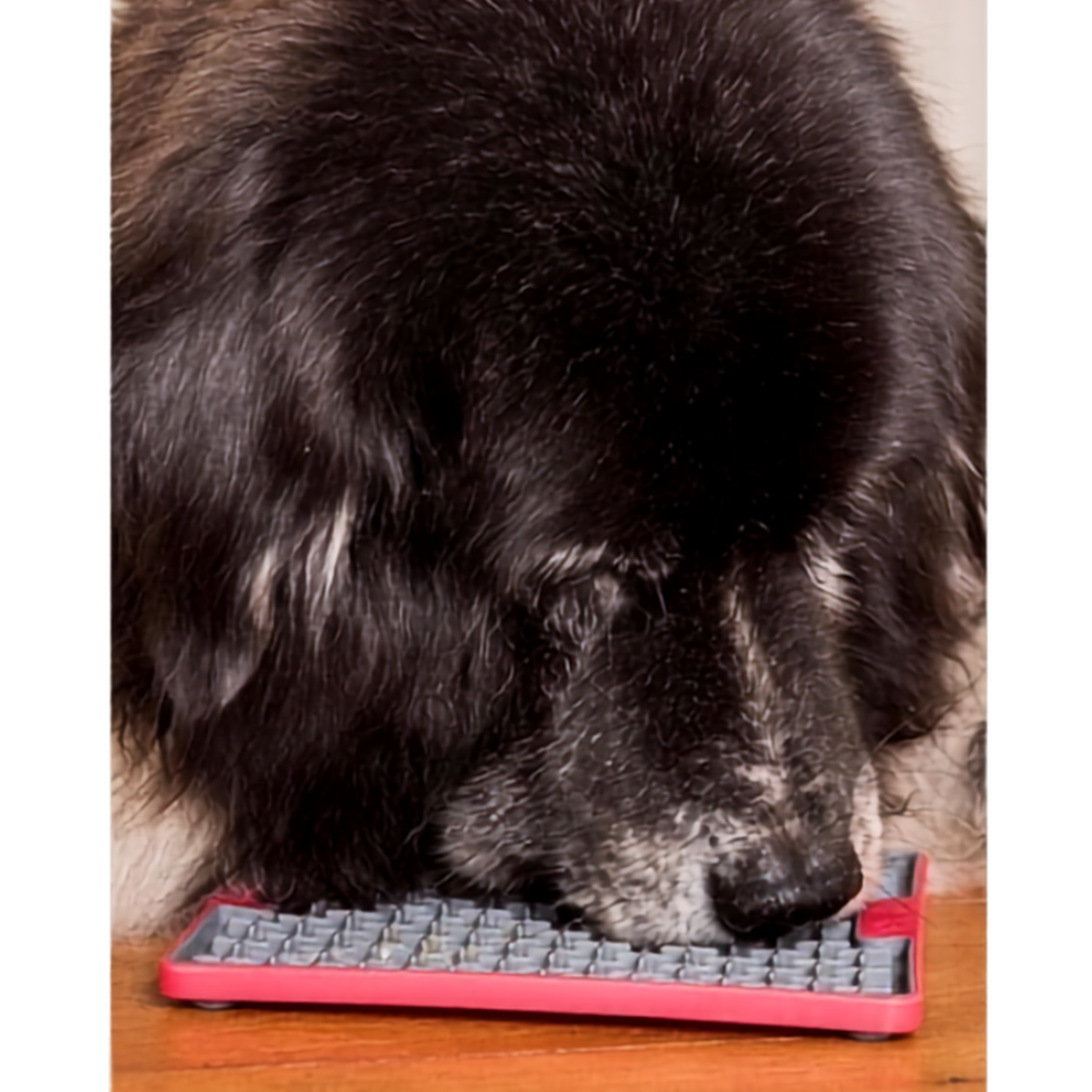 tapis-de-lechage-violet-tuff-buddy-de-lickimat-4 tapis-de-lechage-violet-tuff-buddy-de-lickimat