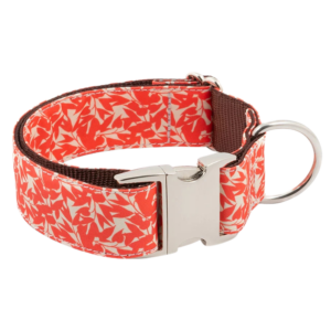 collier-borges-orange-fleuri-pour-chien