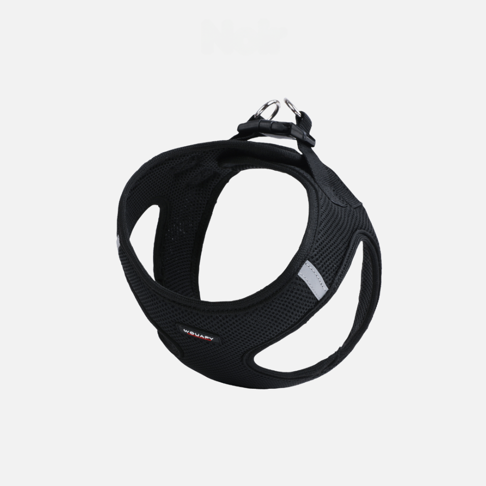 harnais-soft-noir-pour-chien