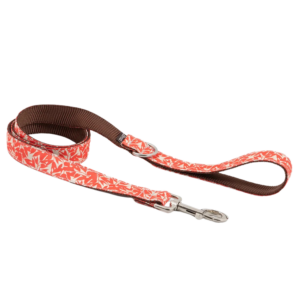 laisse-classique-borges-orange-pour-chien