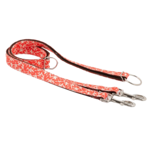 laisse-multiposition-borges-orange-pour-chien