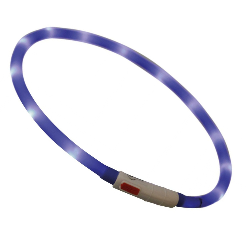 anneau-lumineux-bleu-pour-chien-3 anneau-lumineux-bleu-pour-chien