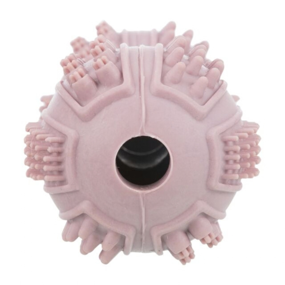 haltere-dentaire-pour-chiot-2 haltere-dentaire-pour-chiot