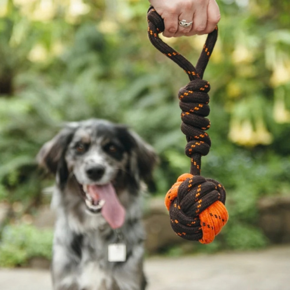 jouet-en-corde-pour-chien-tug-ball-rope-3 jouet-en-corde-pour-chien-tug-ball-rope