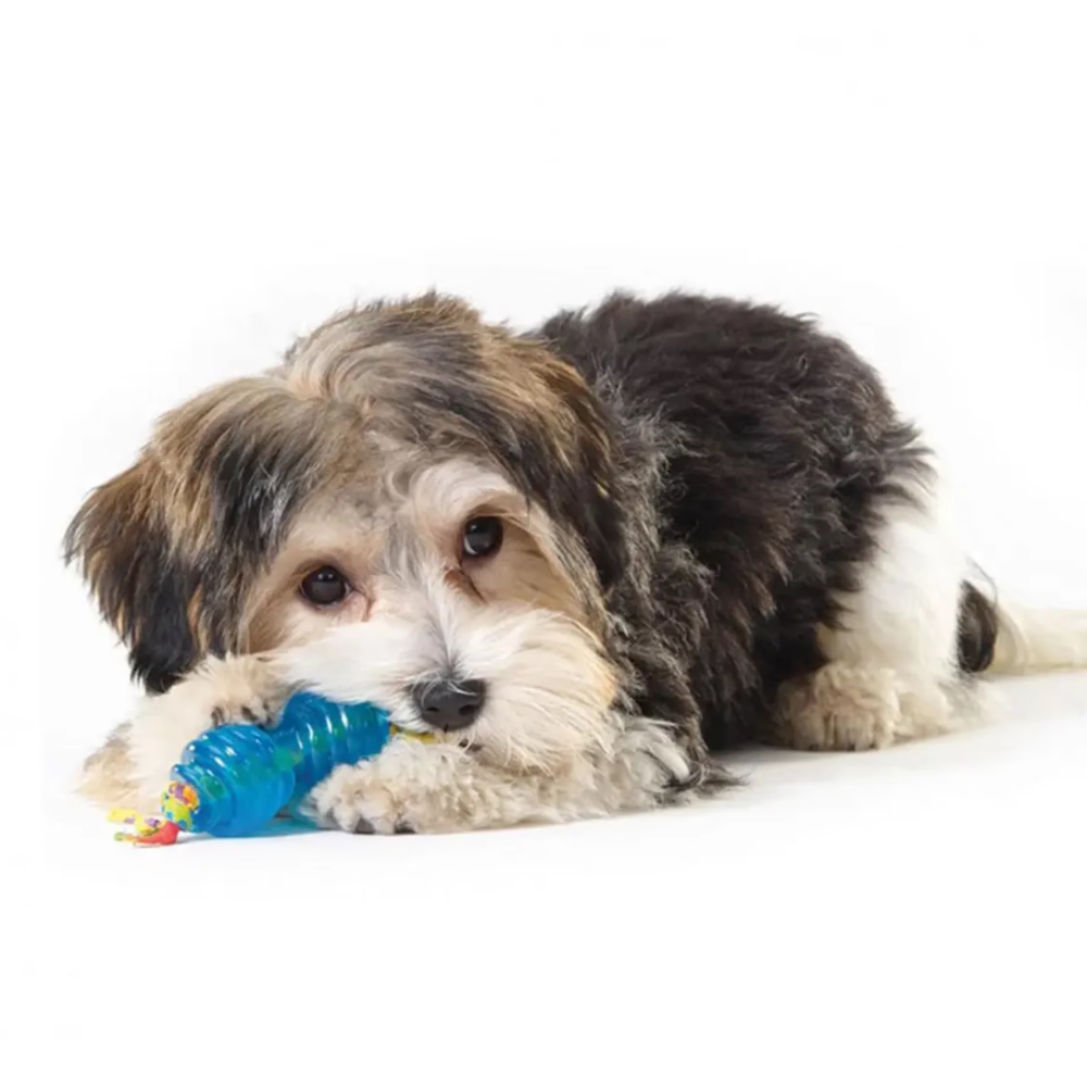 jouets-a-macher-orka-chew-pair-petstages-3 jouets-a-macher-orka-chew-pair-petstages