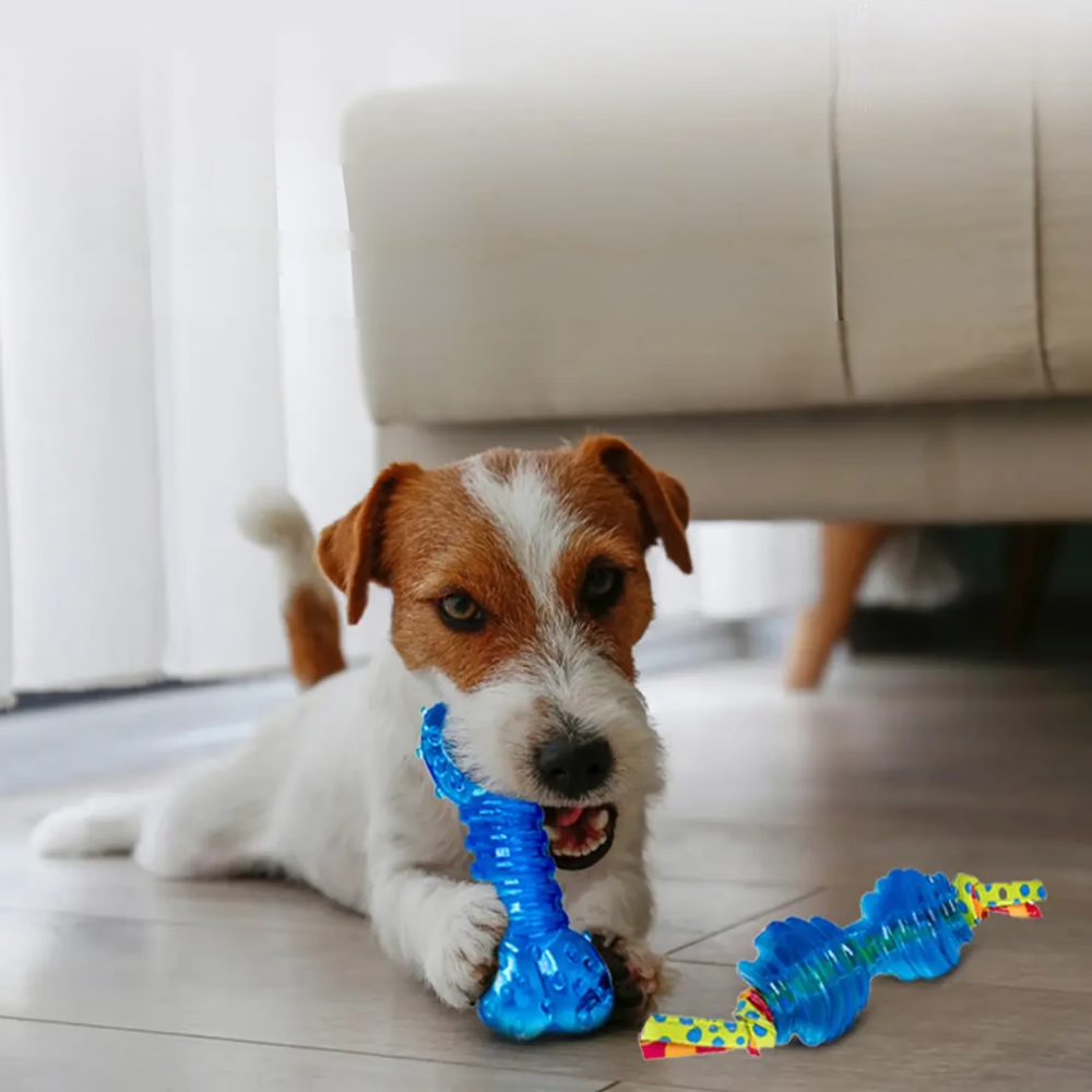 jouets-a-macher-orka-chew-pair-petstages-4 jouets-a-macher-orka-chew-pair-petstages