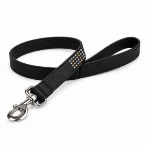laisse-cloutee-en-cuir-noir-pour-chien