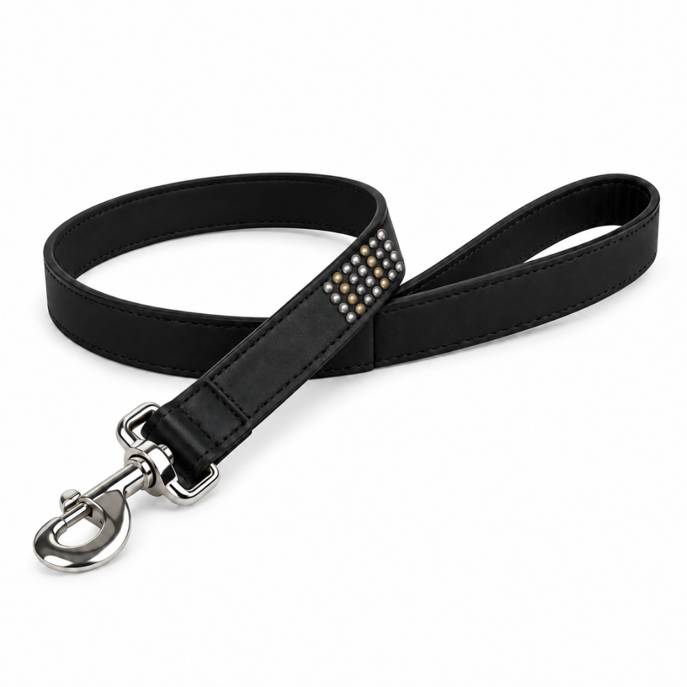 laisse-cloutee-en-cuir-noir-pour-chien
